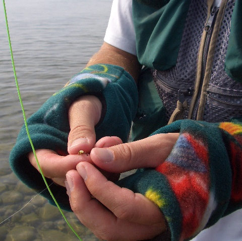 Fly Fishing Gloves, Fingerless REVERSIBLE
