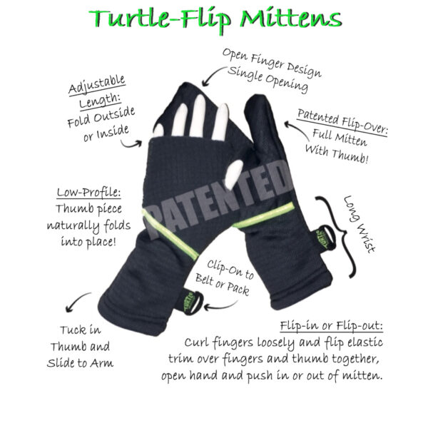 Turtle Gloves Turtle Flip Mittens Anatomy of a Turtle